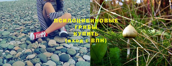бошки Аркадак