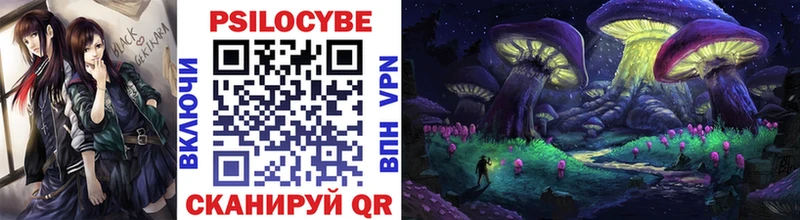 где продают   Терек  Галлюциногенные грибы Psilocybine cubensis 